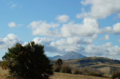 Scenic view of landscape against sky