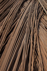 Full frame shot of palm tree