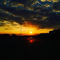 Silhouette of trees at sunset