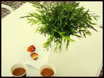 Close-up of food on table