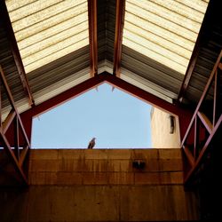 Low angle view of a building