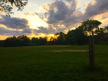 Scenic view of grassy field against sky