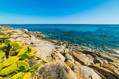 Scenic view of sea against clear blue sky