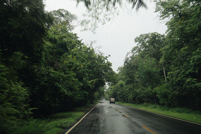 Road amidst trees against sky during rainy season