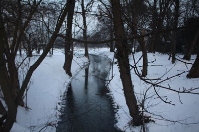 Bare trees on snow covered landscape