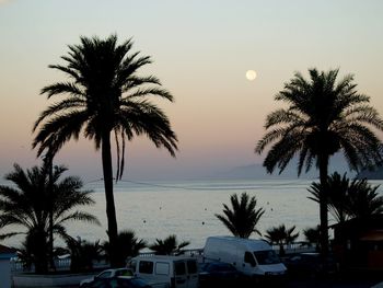 Palm trees on beach against clear sky