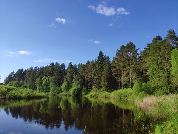 Reflection of trees in lake against sky