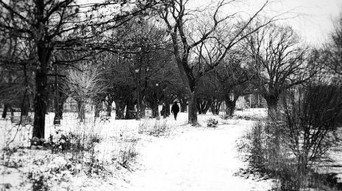 Snow covered landscape