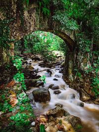 Stream flowing through rocks in forest