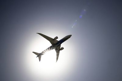 Low angle view of seagull flying in sky