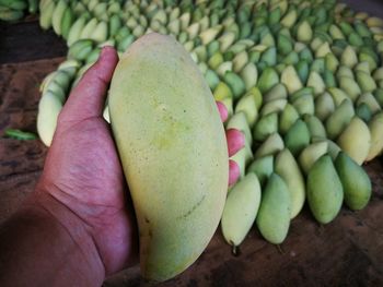 Close-up of hand holding fruit