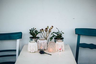 Potted plants on table against wall at home