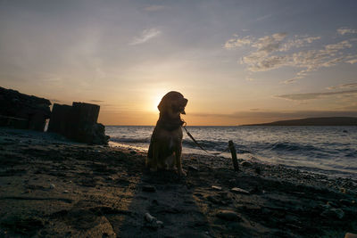 Scenic view of beach against sky during sunset