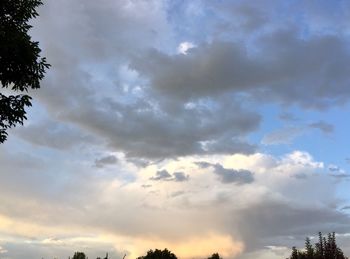 Low angle view of trees against dramatic sky