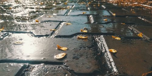 High angle view of raindrops on puddle