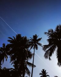 Low angle view of palm trees against clear blue sky