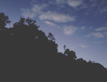 Low angle view of trees against sky