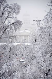 Bare trees against buildings