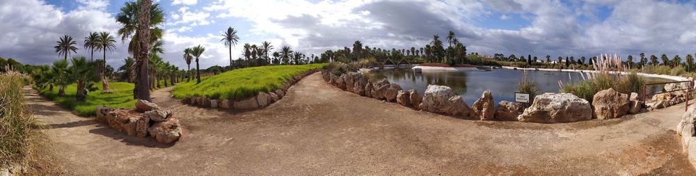 Panoramic shot of trees on land against sky