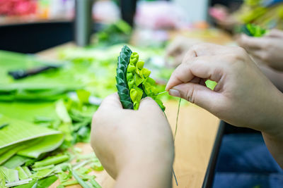 Midsection of person holding leaves