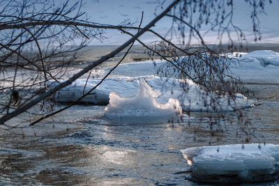 Snow covered bare tree by lake
