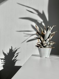 Close-up of potted plant on table against wall