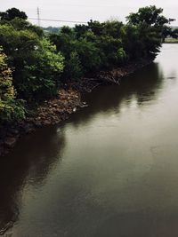 Scenic view of river in forest against sky