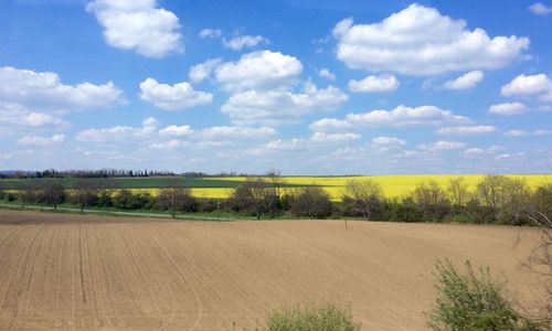 Scenic view of field against cloudy sky