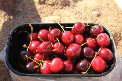 High angle view of cherries in container