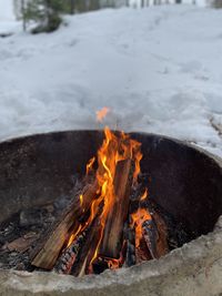 Bonfire on wooden log