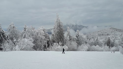 Man snowboarding against trees