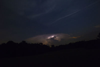 Silhouette trees against sky at night