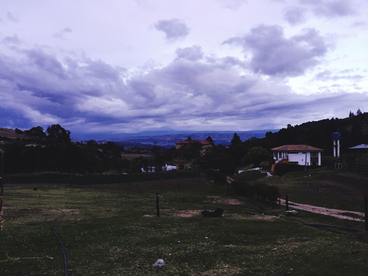 sky, cloud - sky, tree, tranquility, scenics, nature, landscape, beauty in nature, no people, outdoors, day