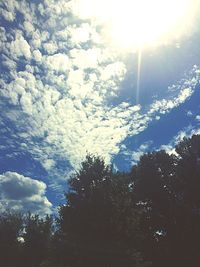 Low angle view of trees against sky