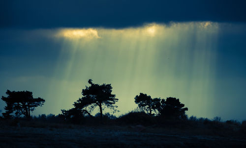 Silhouette trees on landscape against blue sky