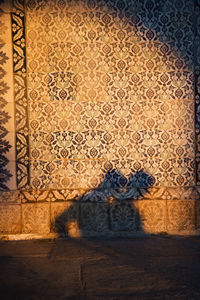 Shadow of a couple on a mosaic wall