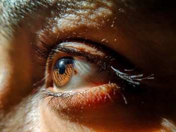 Close-up of woman eye