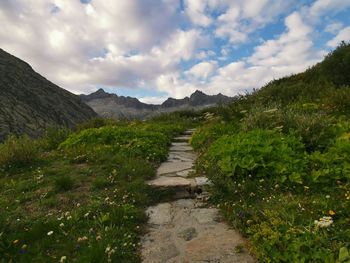 Footpath leading towards mountains against sky