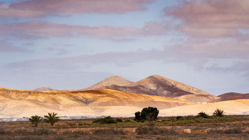 Scenic view of landscape and mountains against sky