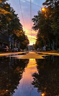 Reflection of trees in puddle at sunset