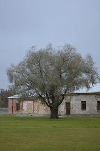 Houses on grassy field against blue sky