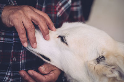 Close-up of man's hands with dog