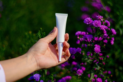 Close-up of hand holding purple flower