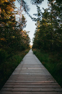 Empty footpath amidst trees against sky