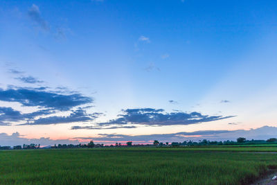 Scenic view of field against sky during sunset