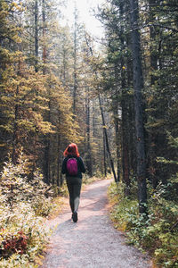 Rear view of woman walking in forest