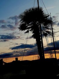 Low angle view of silhouette palm trees at sunset