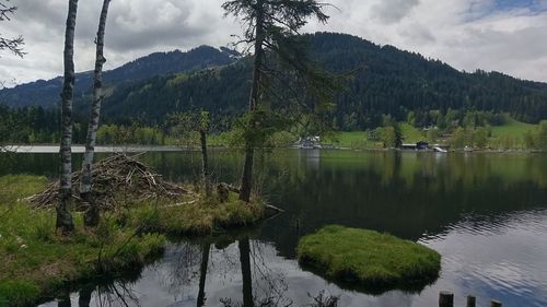 Scenic view of lake by trees against sky