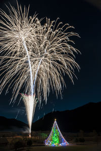 Low angle view of firework display at night