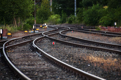 Railroad tracks by train against trees